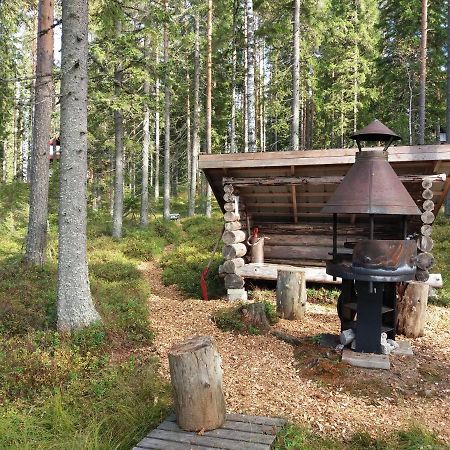 Vanha Vaeaetaenen Cottage Vaatanen Екстериор снимка