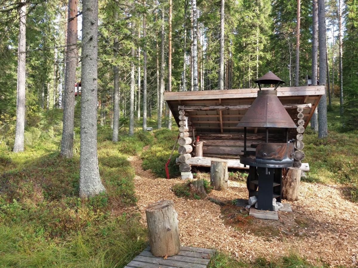 Vanha Vaeaetaenen Cottage Vaatanen Екстериор снимка