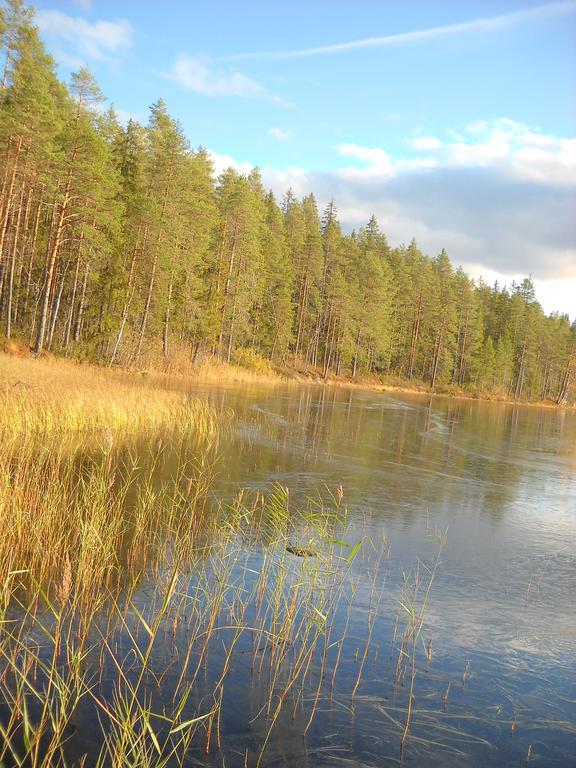 Vanha Vaeaetaenen Cottage Vaatanen Екстериор снимка